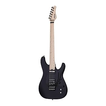 Amazon.com: Schecter Sun Valley Super Shredder with Floyd